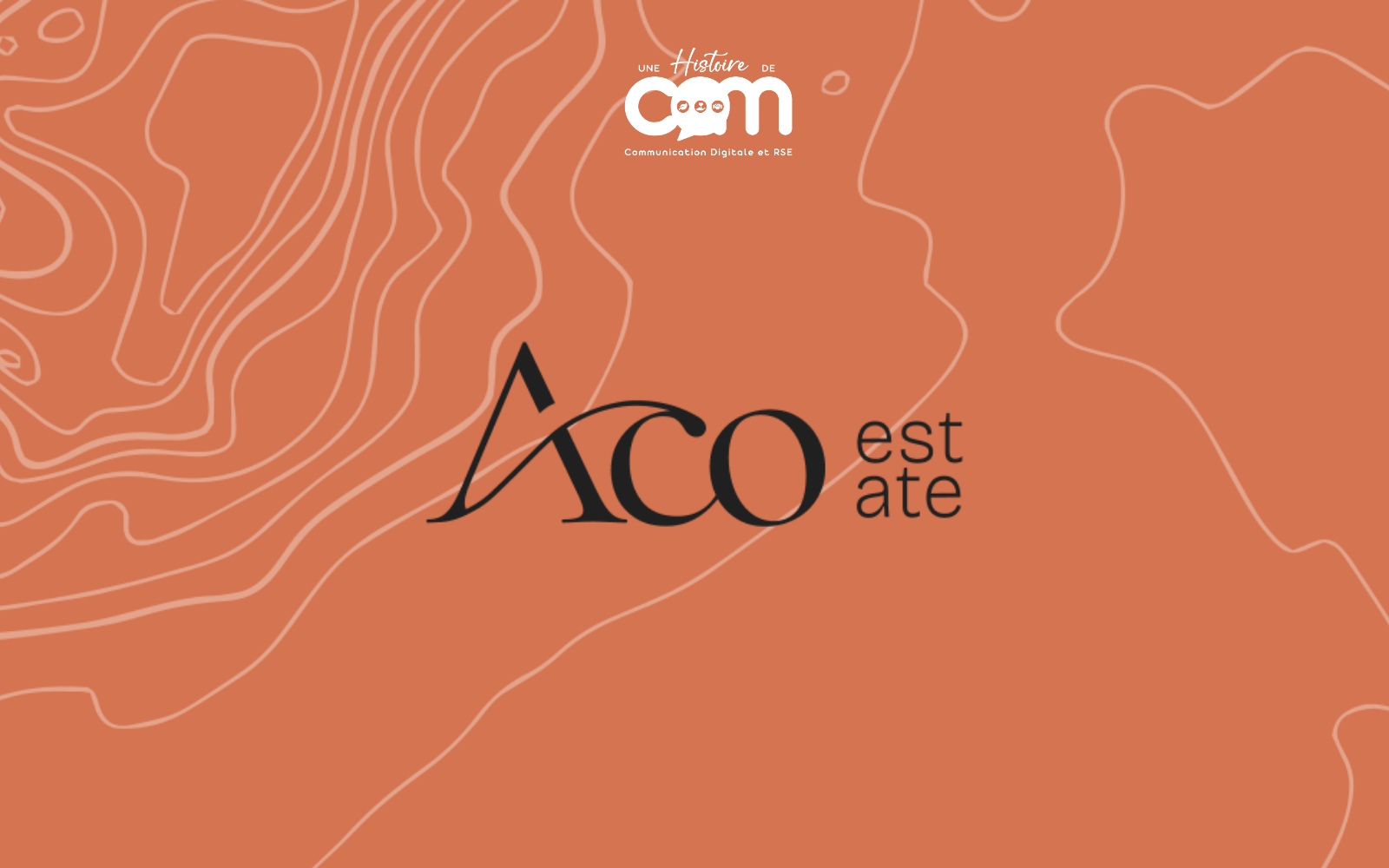 Aperçu du site internet ACO Estate