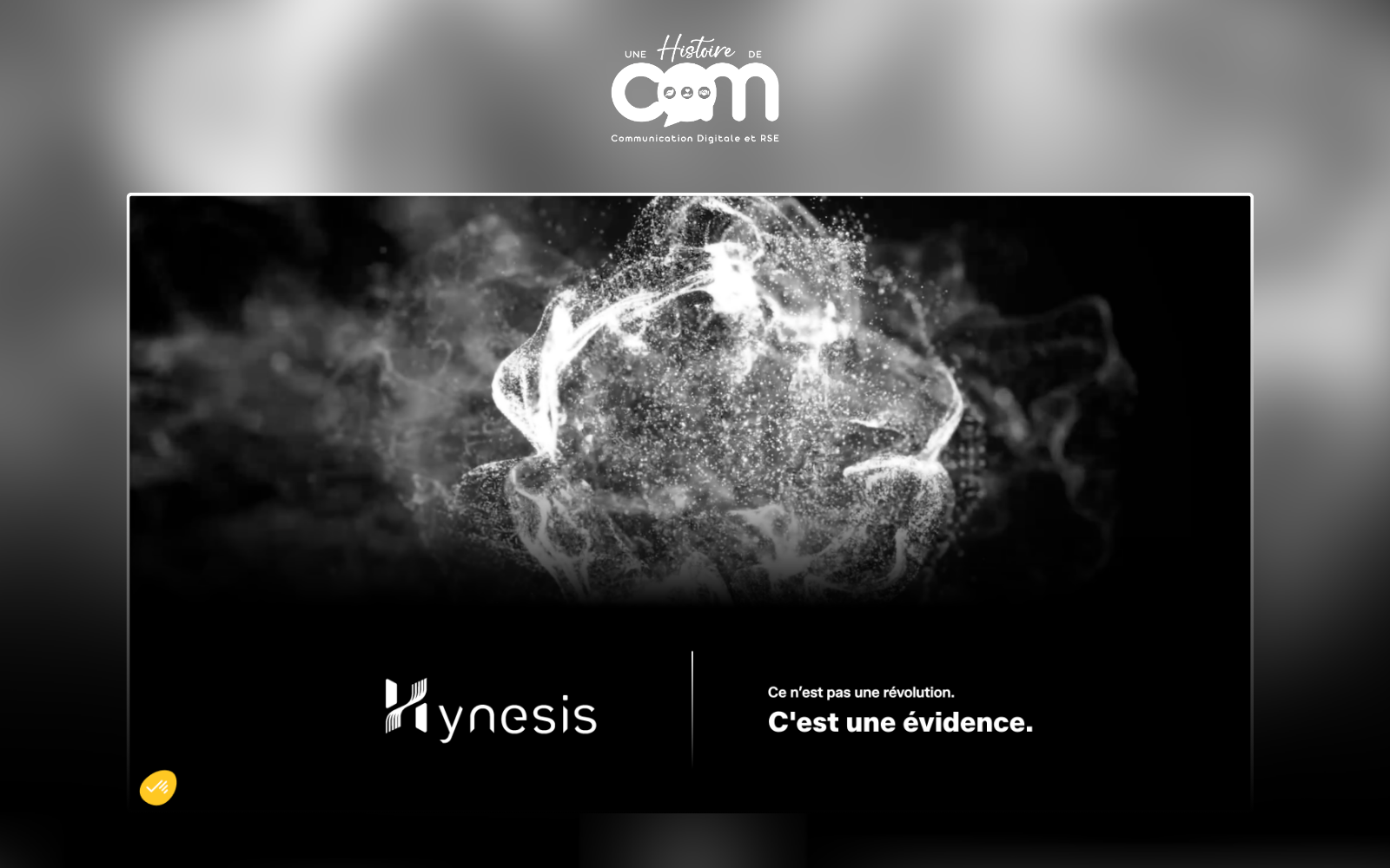 Aperçu du site internet Hynesis
